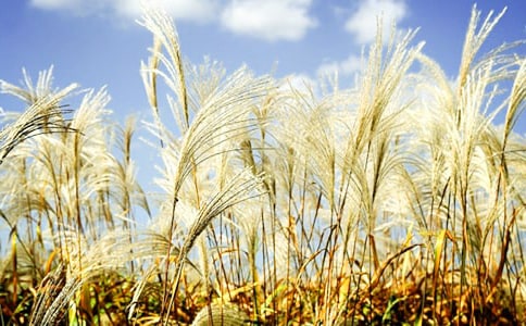 �������«έ����ѧ��˼