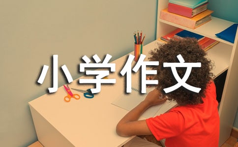 (精品)我的生活小学作文