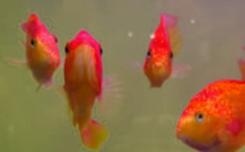 ���繺���ĺ�ͬ