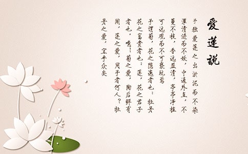 ����˵�̰�7ƪ