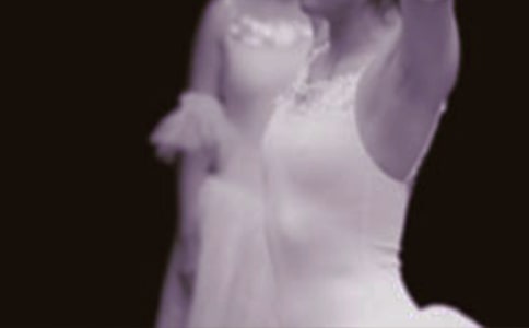 СӢ�ۺͰ��ٹ��������