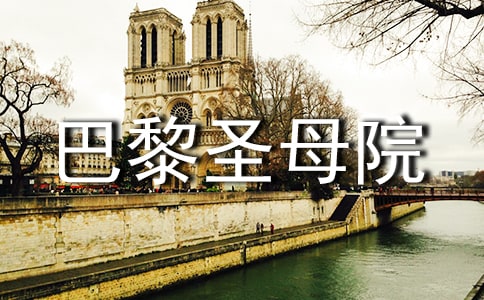 《巴黎圣母院》读后感(合集15篇)