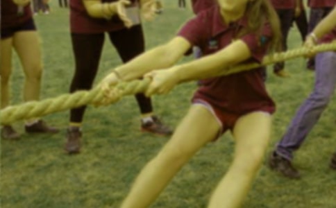 ���������κ�Сѧ����300�ֺϼ���ƪ