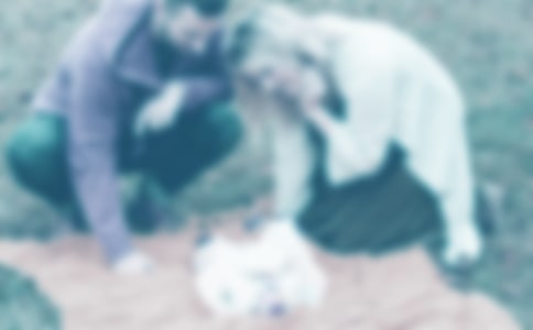 亲爱的爸爸妈妈(网友来稿) 教案教学设计