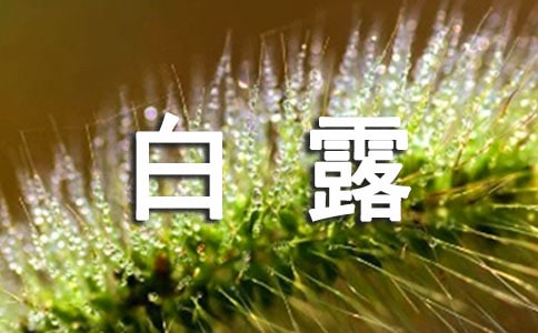 白露节气写景作文