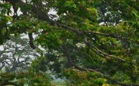 ���ڡ�����̰�������ƪ