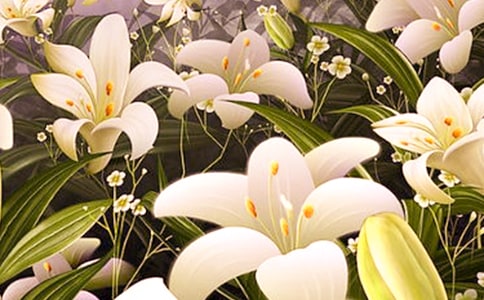 ���ٺϻ�����ѧ��˼