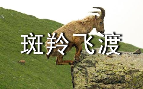 ������ɶɡ������