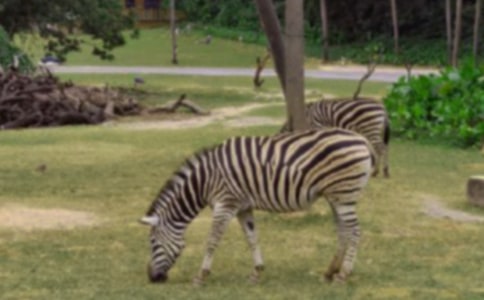 �������ð����߳�������ƪ