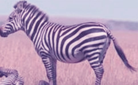 С�లȫ����·�ϵİ����ߡ��̰�����˼