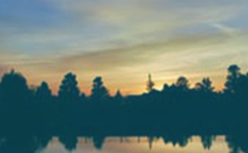 ���꼶��������