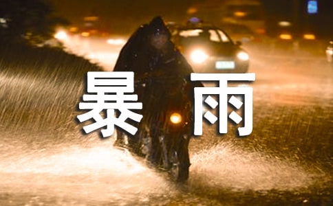 暴雨筛的读后感