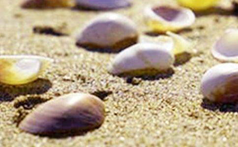 �����ǵĽ̰�[ʵ��3ƪ]