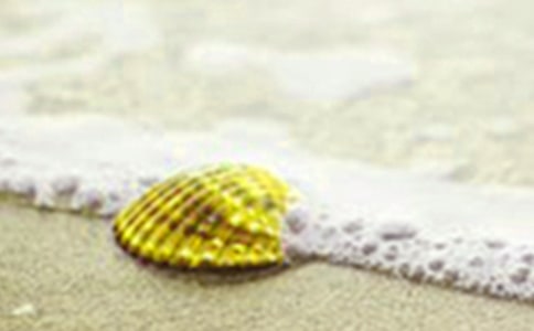 短文两篇:《蝉》《贝壳》(人教版七年级必修) 教案教学设计