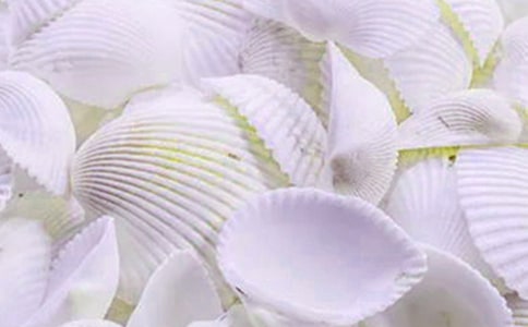 《短文两篇(蝉、贝壳)》(人教版七年级必修) 教案教学设计