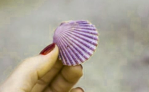 《短文两篇》蝉贝壳 学案设计(人教版七年级上册)