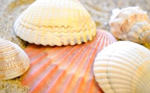 �����ǡ��̰�(�˽̰����꼶����) �̰���ѧ���