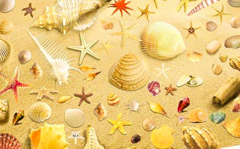 �����ǵĽ̰�