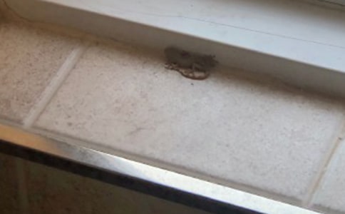 �ڻ����ռ�8ƪ