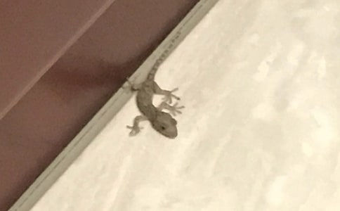 ��С�ڻ���β�͡���ѧ��˼