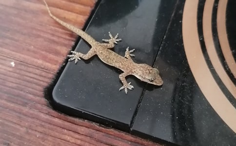 С�ڻ���β�ͽ�ѧ��˼