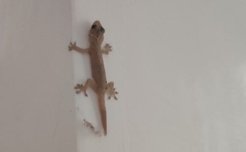 (��)��С�ڻ���β�͡���ѧ��˼