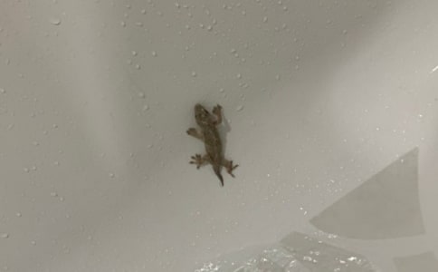 ��������С�ڻ���β�͡���ѧ��˼15ƪ