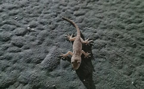 ����������ʽ̰���С�ڻ���β�͡���ͨ��10ƪ��