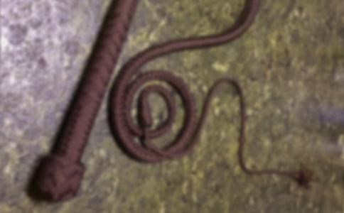 ������ı��ӽ�ѧ��Ƽ���˼