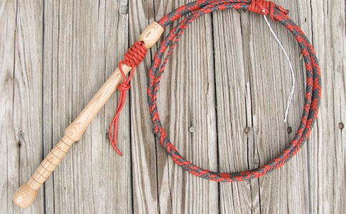 放下你的鞭子 教案教学设计