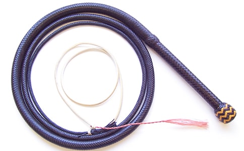 没有鞭子我们能挺起腰吗?(网友来稿)