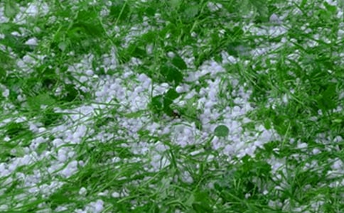 ���ڱ�������������