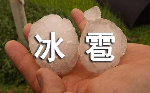 ���������Ĵ����