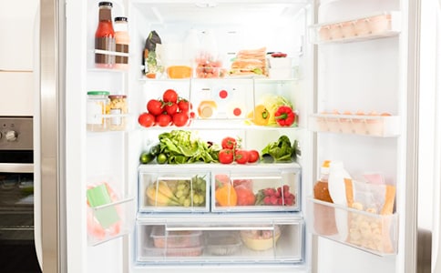 有关冰箱说明文作文合集10篇