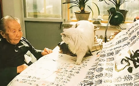 最新破冰心得体会实用