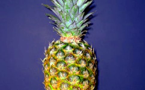 С��̰���ʶ����