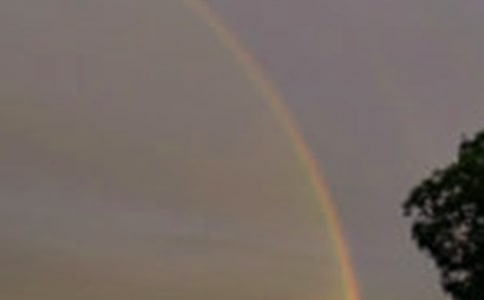 ���ʺ硷��ѧ��˼����ѡ16ƪ��