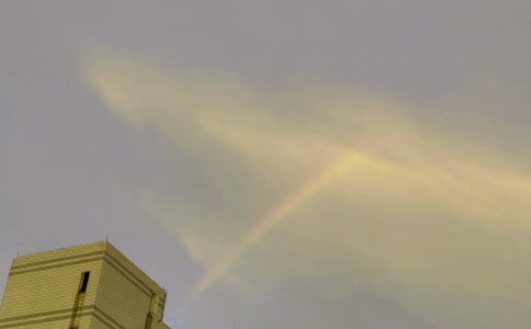 ���ġ��ʺ硷 ѧ�����ķ���