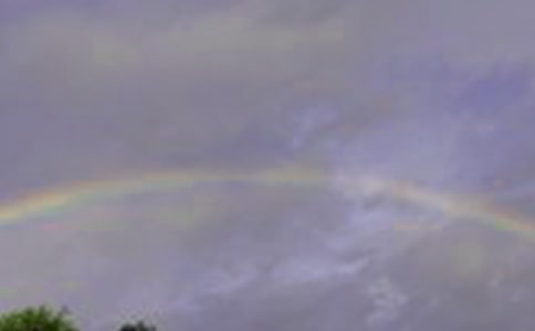 �������Ĳʺ硷��ѧ��˼