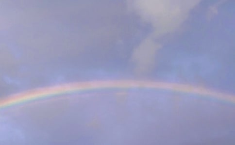 ���ʺ硷�̰�