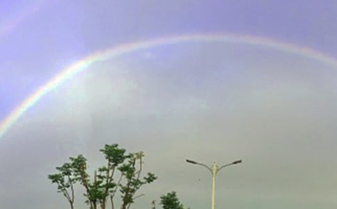 ���ʺ硷��ѧ��˼