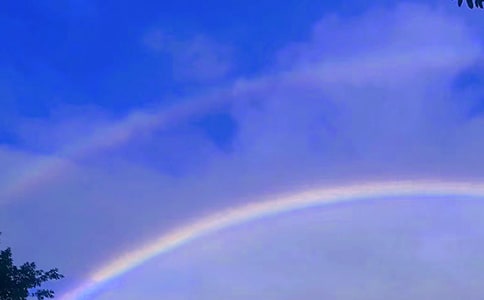 �ʺ�Сѧ����