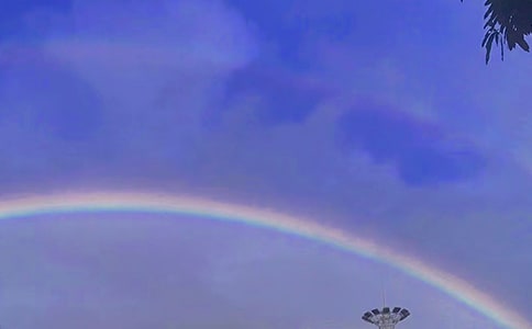 �ʺ��ж��׽������ν�ѧ�ܽ�