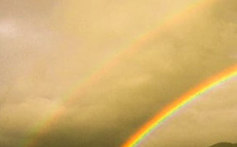 ���ʺ硷�γ̽�ѧ��˼�ܽ�