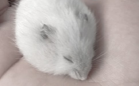 ����˵����(15ƪ)