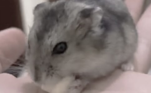 �۲�����ռ�