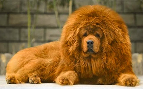 �ۡ�����༪���и�