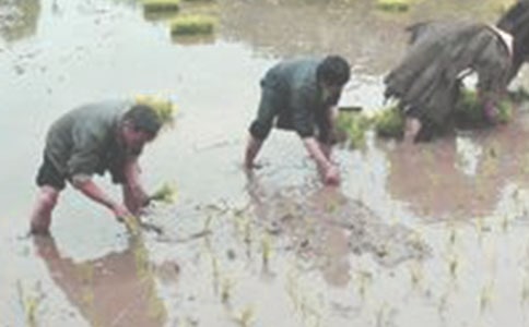 ���������̰���Ʒ���