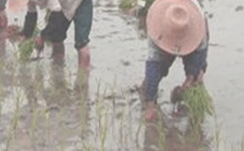 ���������̰�