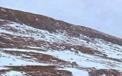 ����ɽ���δ�